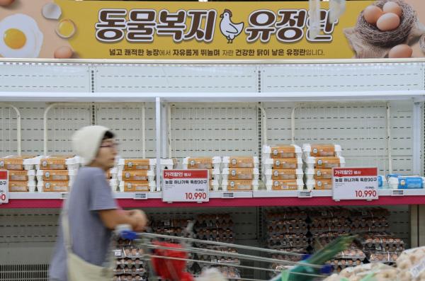 추석 '체감 물가' 고공행진, 달걀값 최대 상승폭