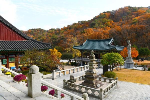 의정부시, 10월에 꼭 가봐야 할 '가을 나들이 명소'…여기 어때?