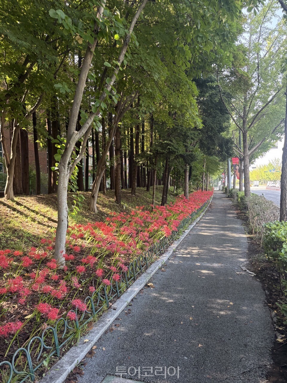 서구 월평권역 산책로/사진=대전시