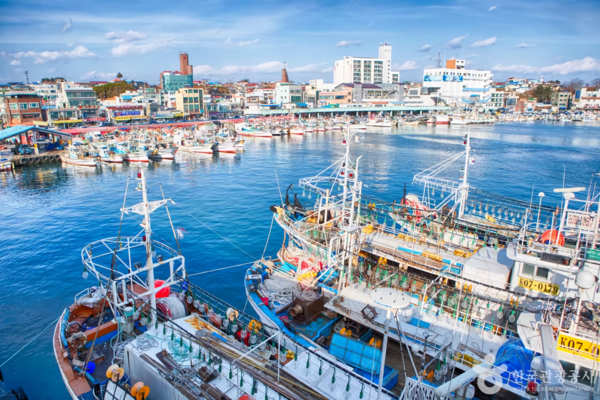 강릉의 바람이 전하는 이야기, 동해 바다와 미식의 가을 여행