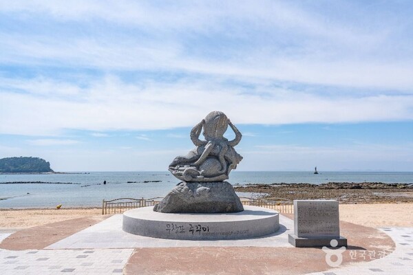 서해 바다 품은 보령 명소, 계절의 아름다움이 머무는 시간