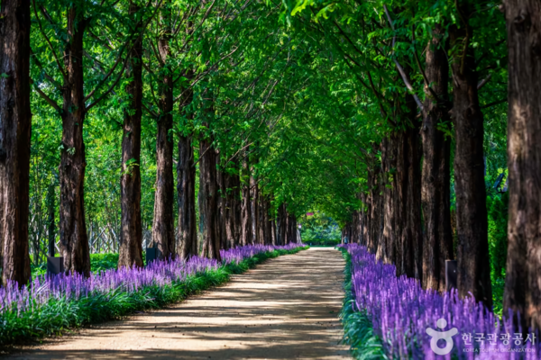 영천 명소, 자연의 숨결과 다채로운 이야기가 흐르는 길