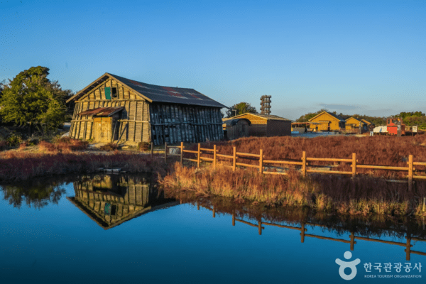 가을이라 더 아름다운 시흥 갯골생태공원의 고즈넉한 풍경