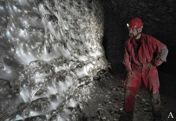 "동굴 벽 하얀 이건 뭐지?" 11만마리가 만들어낸 세계 최대 거미줄