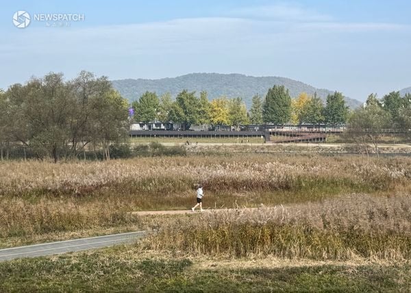 ‘가을의 도시’ 아산서 은빛 억새·황금 단풍 즐겨요