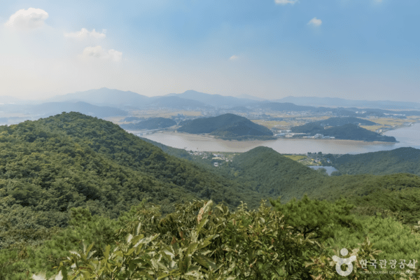 김포의 가을 풍경, 자연과 예술이 스며든 특별한 하루