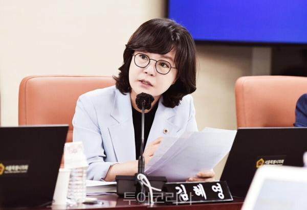 서울시의회 김혜영 의원, 외국인 환자 미용성형 부가세 환급제도 연장 촉구