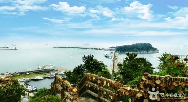 여수 바다의 숨결이 스미는 가을 여행, 파도와 동백이 전하는 이야기