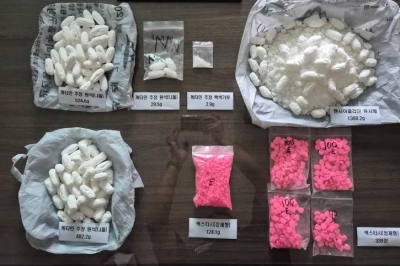 항문에 숨겨 마약 밀반입…마약 유통 일당 검거