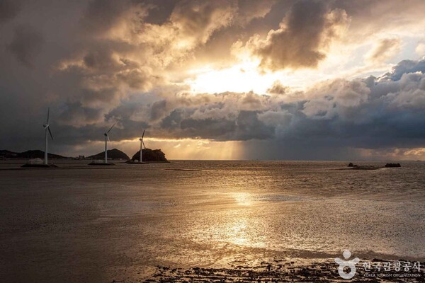 안산 가볼 만한 곳, 서해의 바람 속에서 만나는 활력과 여유