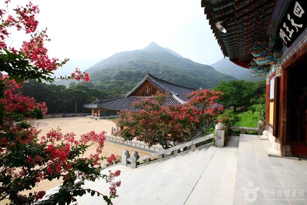 밀양 가볼 만한 곳, 숲과 강이 선사하는 가을날의 여유