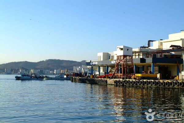 가을 속초 가볼 만한 곳, 동명항의 일출과 활기 넘치는 풍경