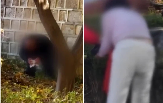 “지금 길에서 대변 보는 건가요?” 눈을 의심…경복궁 앞 무슨 일