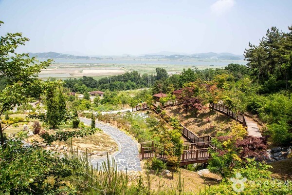 서해의 숨결, 안산에서 만나는 가을 명소의 고즈넉한 매력