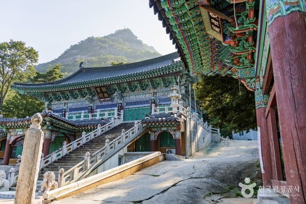 가을빛으로 물든 포천, 숲과 바람이 전하는 휴식의 시간