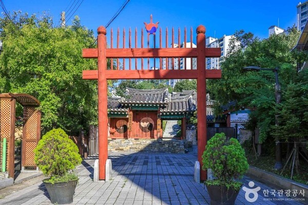 용인 가볼 만한 곳, 고요한 식물원과 미식이 어우러진 가을날의 여정