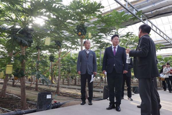 가평군, 온난화 돌파구 찾는다…포천 아열대과수 스마트팜 벤치마킹