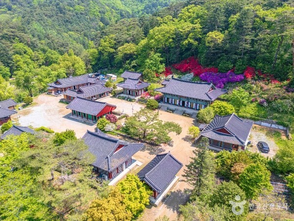 홍천 가볼 만한 곳, 숲과 정원, 그리고 커피 향 가득한 가을날